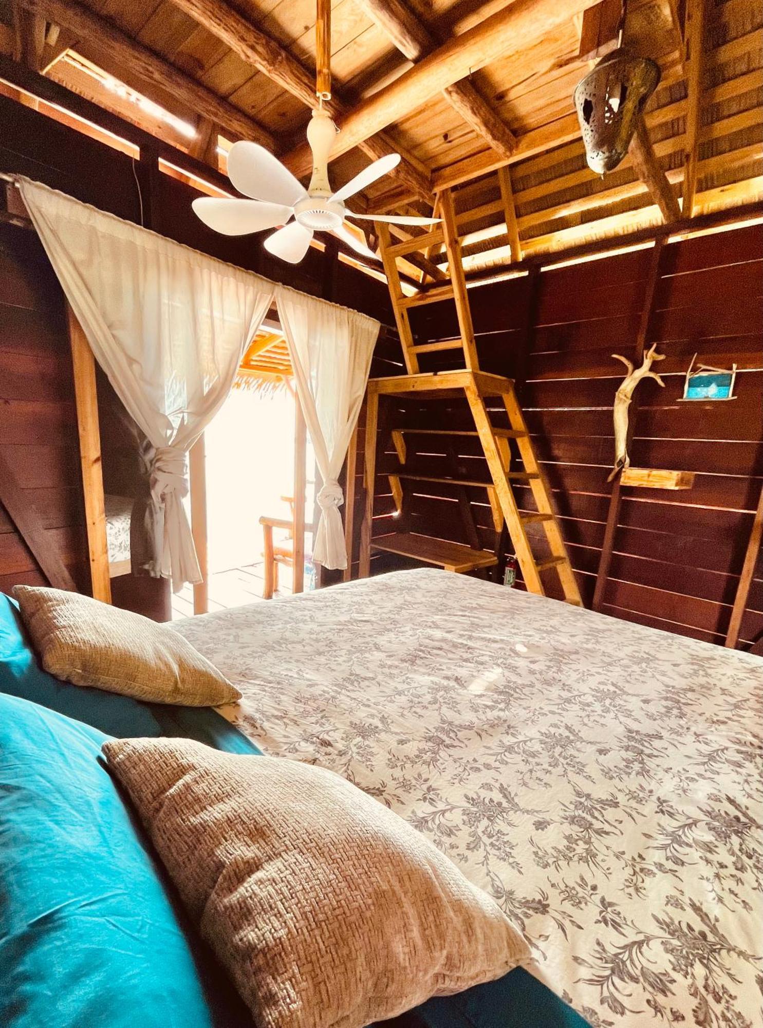 Urraca Monkey Island Eco Resort (Adults Only) Punta Laurel Room photo