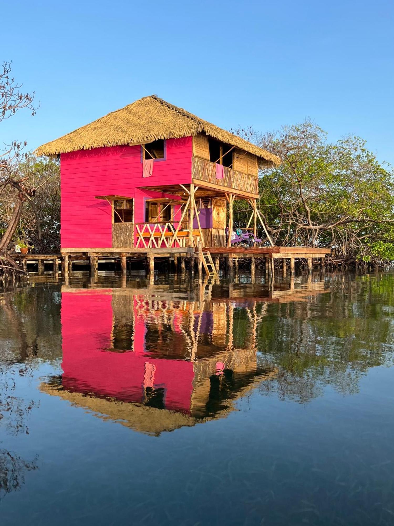 Urraca Monkey Island Eco Resort (Adults Only) Punta Laurel Room photo